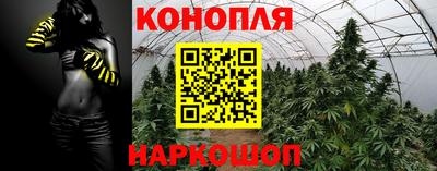 Альфа ПВП Дубна