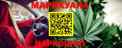 Альфа ПВП Дубна