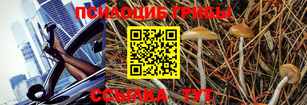 Галлюциногенные грибы Magic Shrooms  Вход с VPN  Нягань  Галлюциногенные грибы мухоморы 